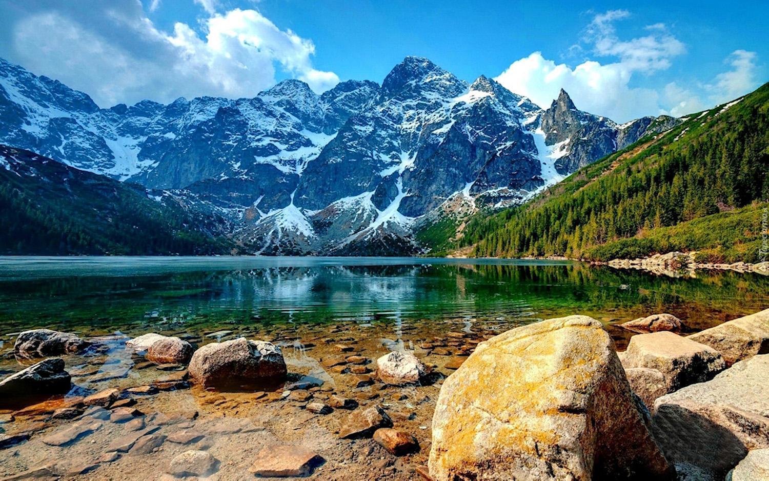 Osrodek Ski Suche & Zakopane 波罗宁 外观 照片